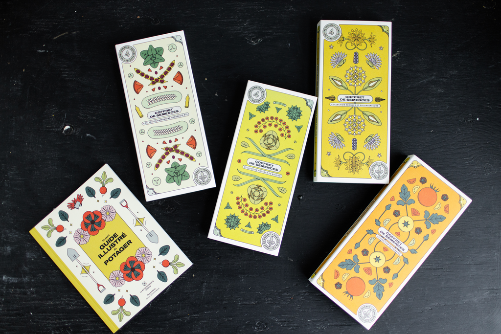The urban nutritionist - Seed boxes